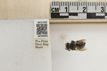 Media type: image;   Entomology 789961 Aspect: Labels